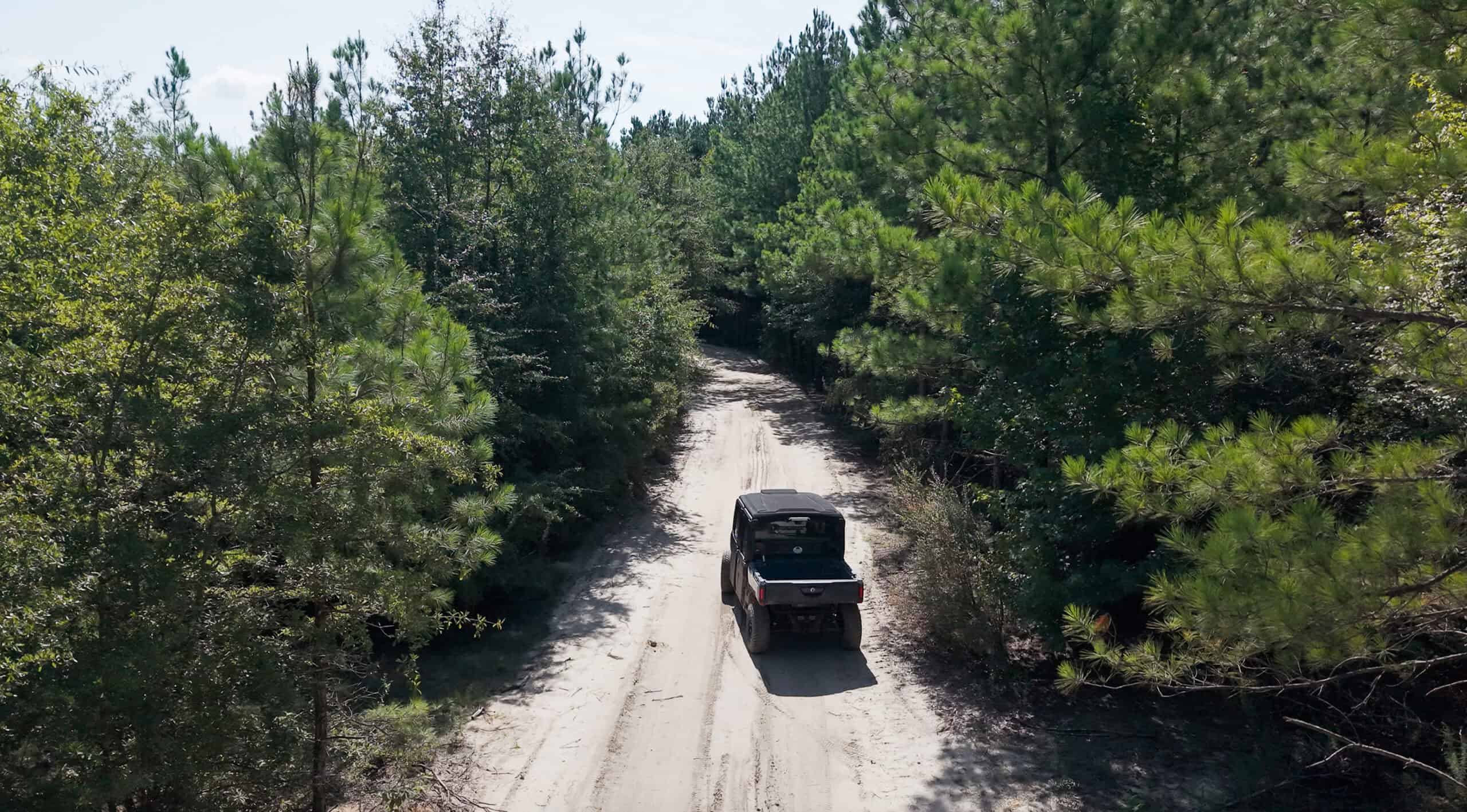 224.56 Acres | Buck Creek 224 | Montezuma, GA